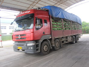 桂林支队打造 阳光路政 品牌 桂林治超站注重执法效果,对运输鲜活农产品的超限车辆教育为主
